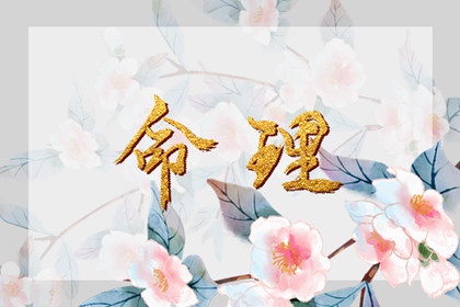 农历日历年 农历2026年老黄历 农历